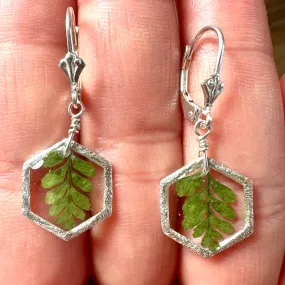 Dainty Fern Earrings - BG 146