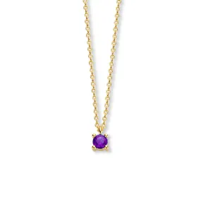 February Birthstone Necklace 14K Yellow Gold