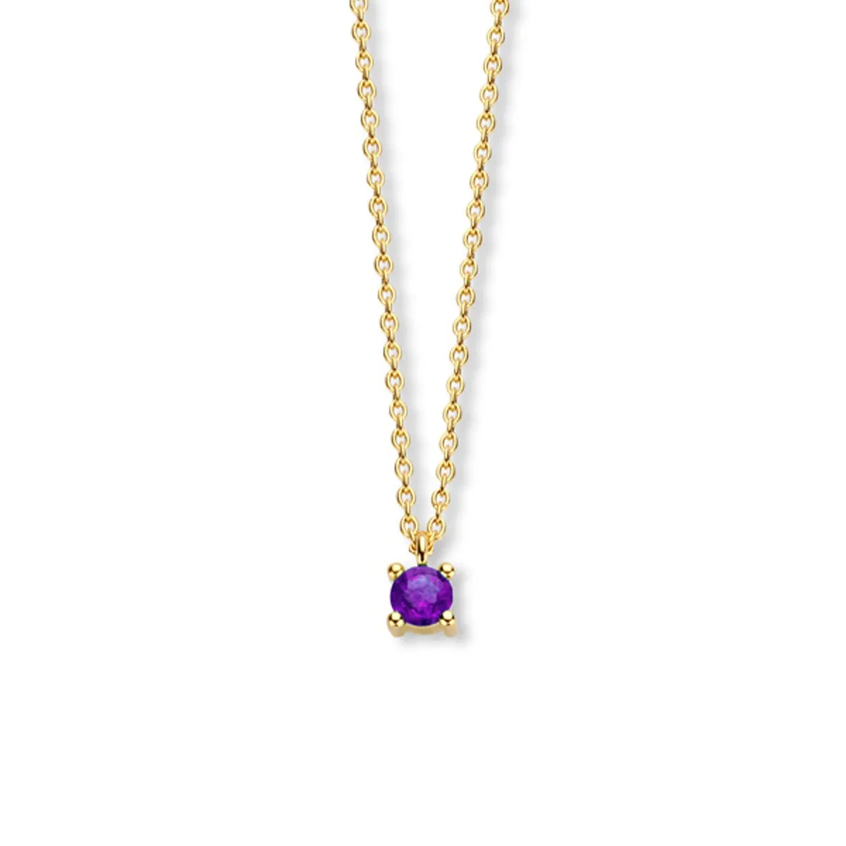 February Birthstone Necklace 14K Yellow Gold